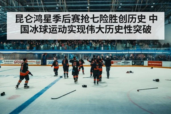chinese ice hockey fans cheering
