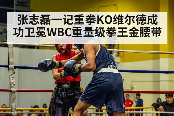 张志磊一记重拳KO维尔德成功卫冕WBC重量级拳王金腰带