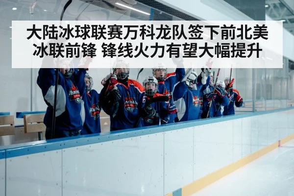 大陆冰球联赛万科龙队签下前北美冰联前锋 锋线火力有望大幅提升